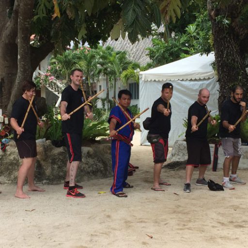 International Martial Arts Proactive Self Defence