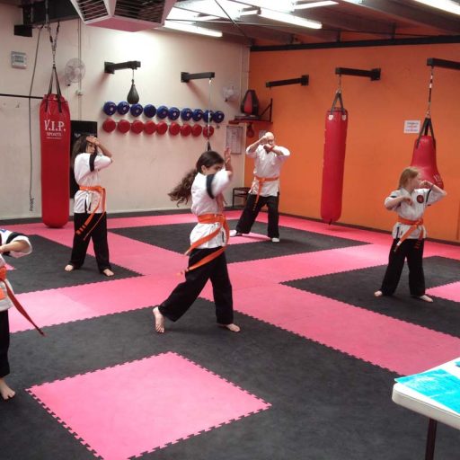 Junior Martial Arts Classes